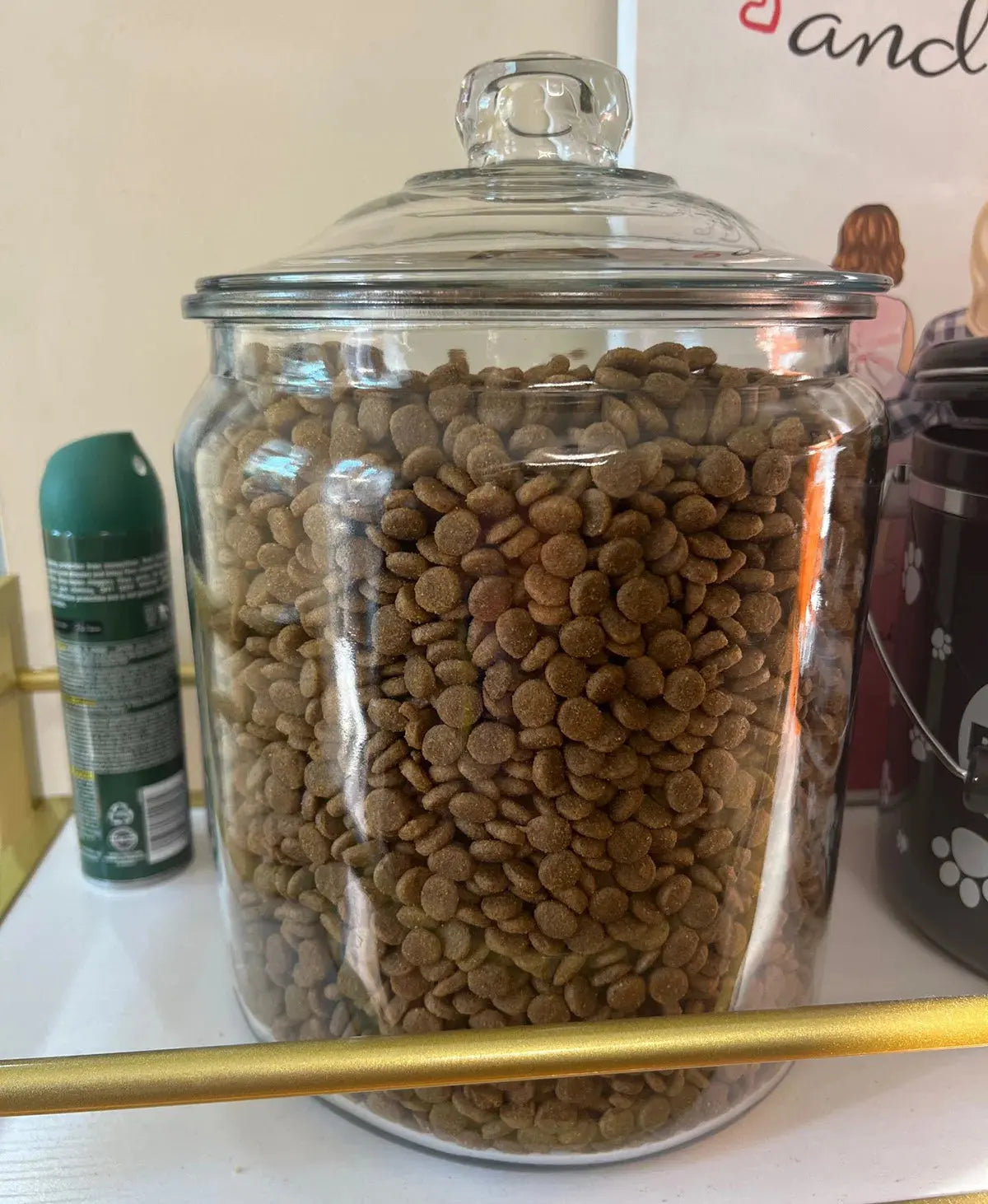 2 Gallon Glass Jar with Lid for Bulk Storage